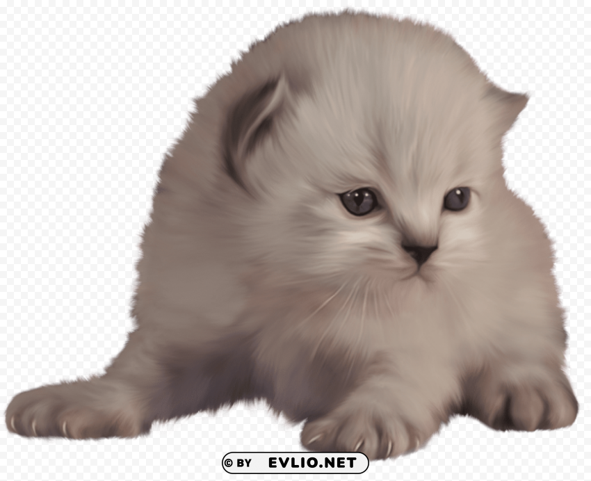 Kitten PNG Image With Clear Background Isolated