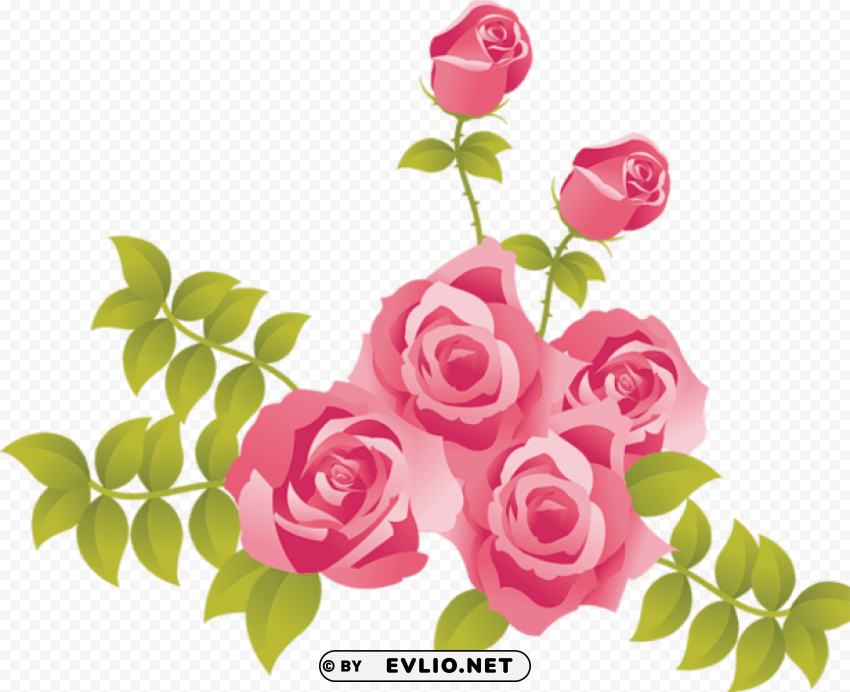 pink roses painted picture High-quality PNG images with transparency
