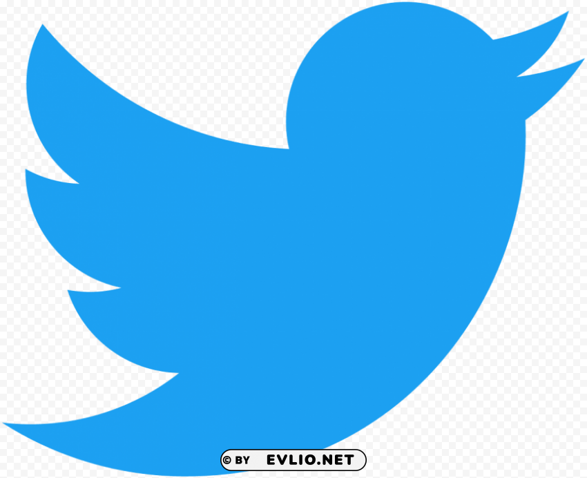 twitter bird PNG Image with Isolated Element