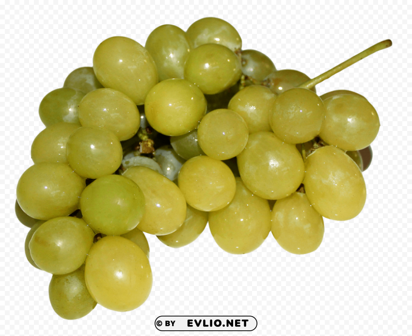 Grapes PNG files with transparent elements wide collection