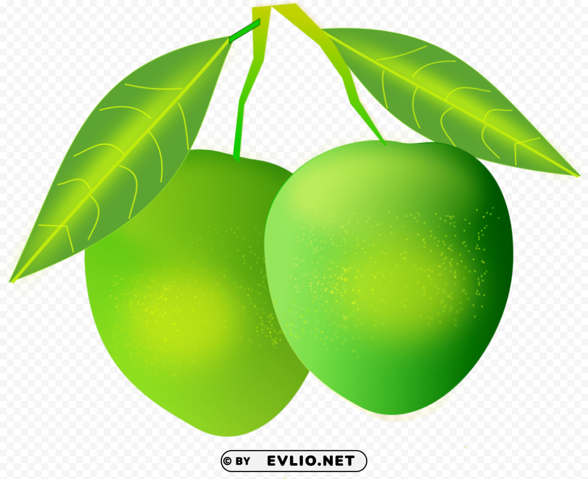 mango Isolated Element in Transparent PNG