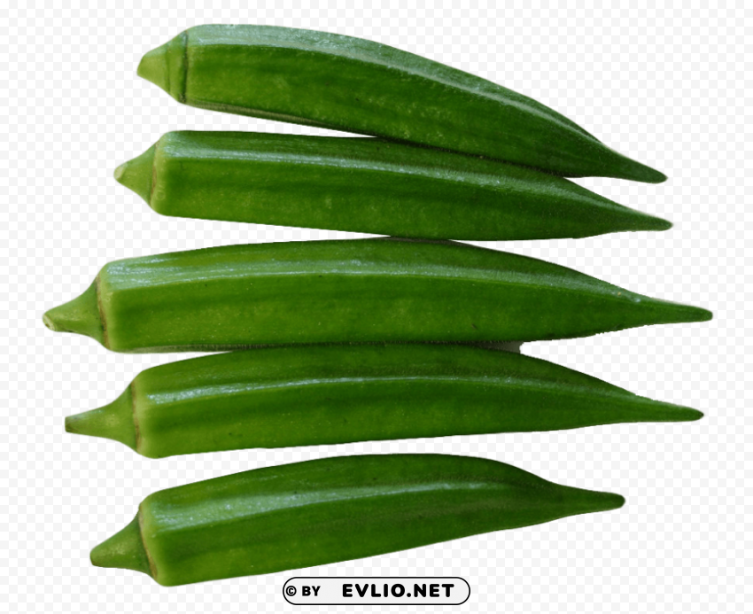 okra Clean Background Isolated PNG Graphic