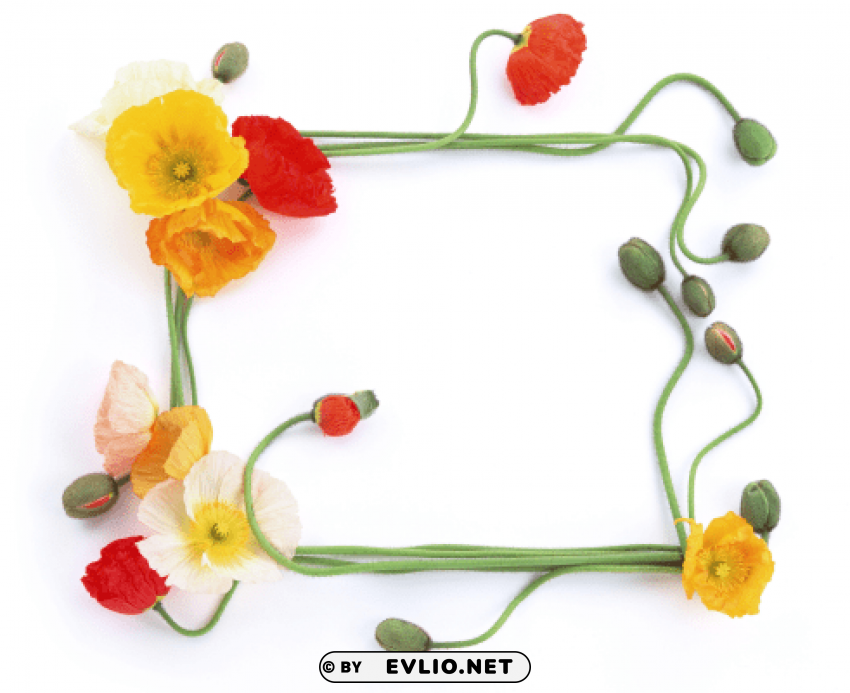 photo frame 255 PNG images with transparent canvas assortment