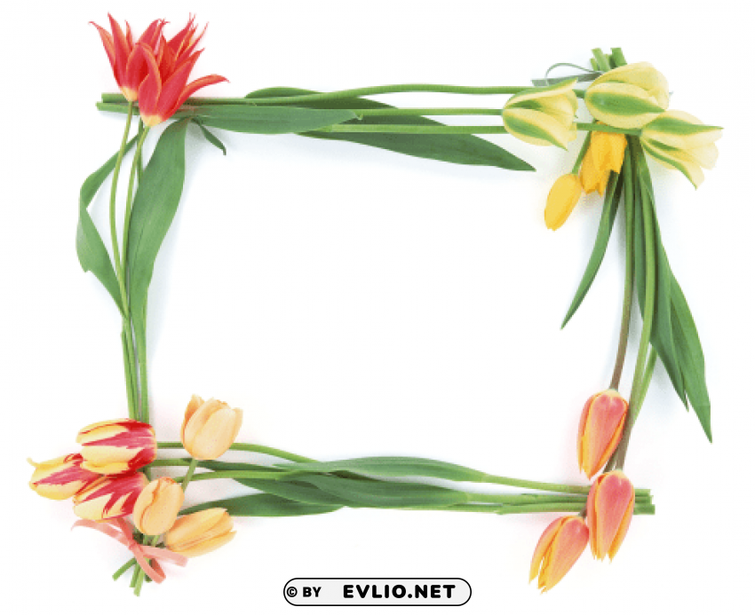 photo frame 257 PNG images with transparent canvas