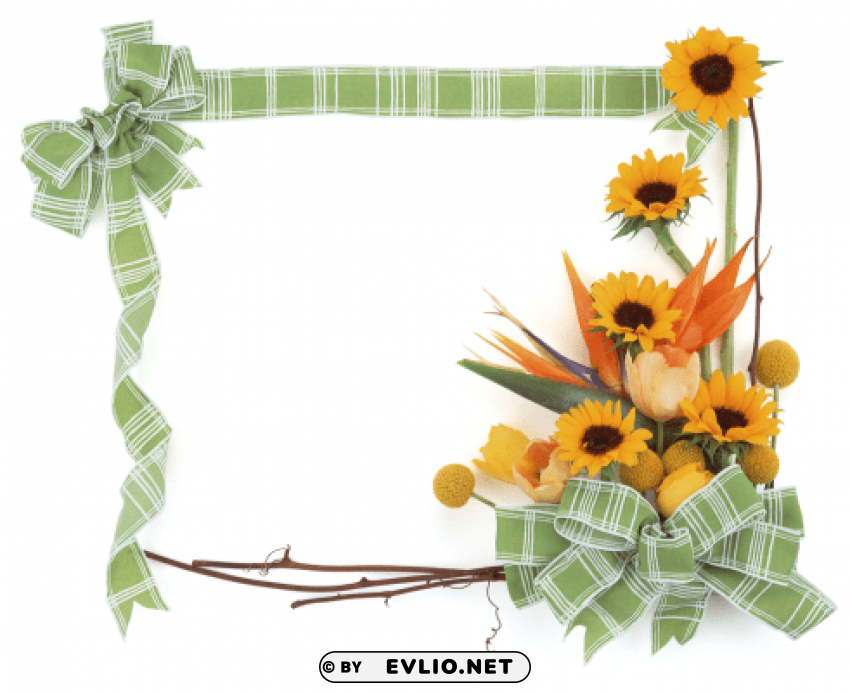 photo frame 258 PNG images with no watermark