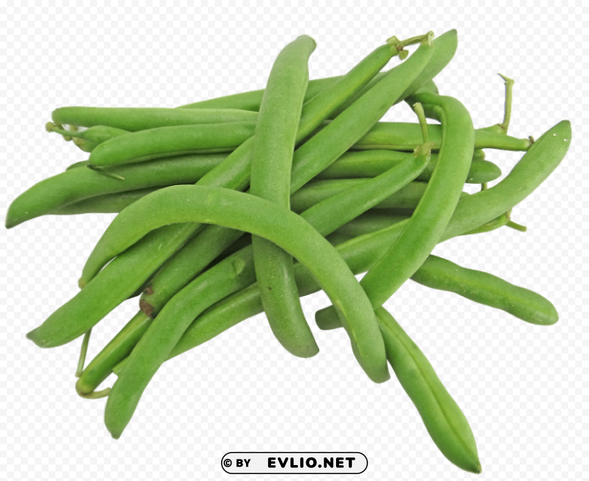 green beans Clear Background PNG Isolated Subject