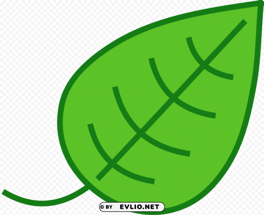 leaf Transparent PNG image PNG transparent with Clear Background ID 9a4c4358