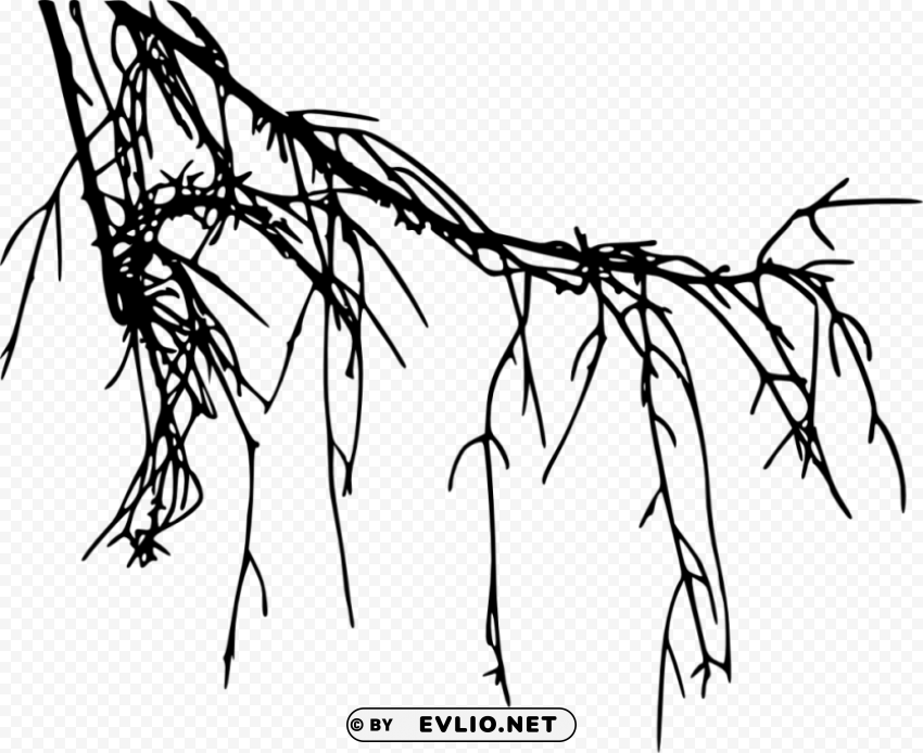 tree branch silhouette Transparent PNG graphics assortment
