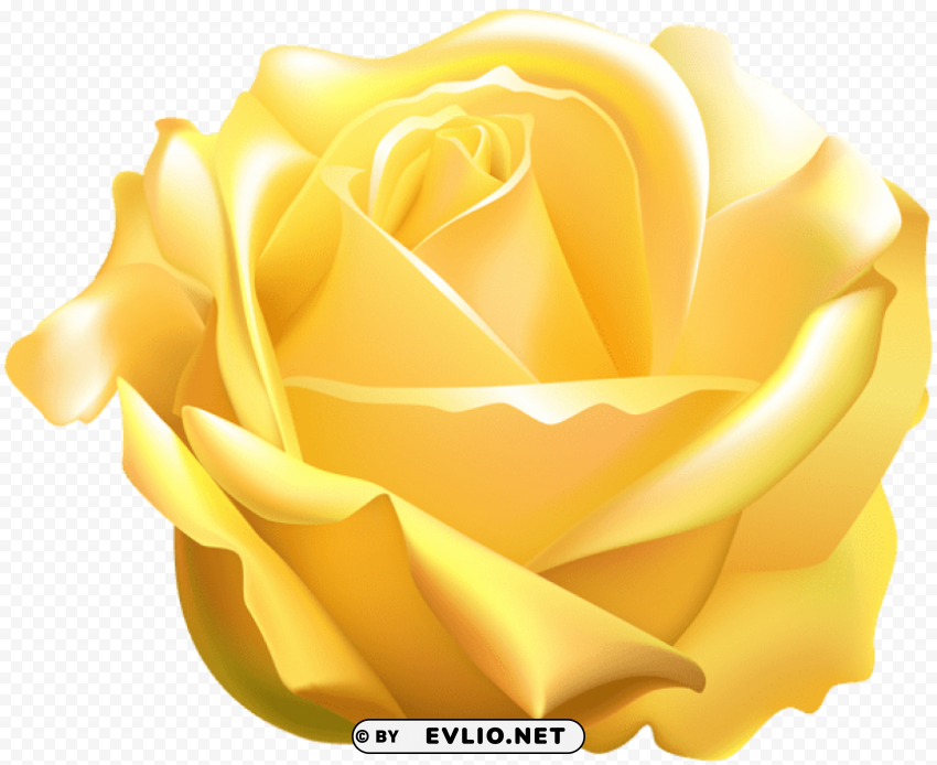 PNG image of yellow rose Isolated Item with HighResolution Transparent PNG with a clear background - Image ID be55db72