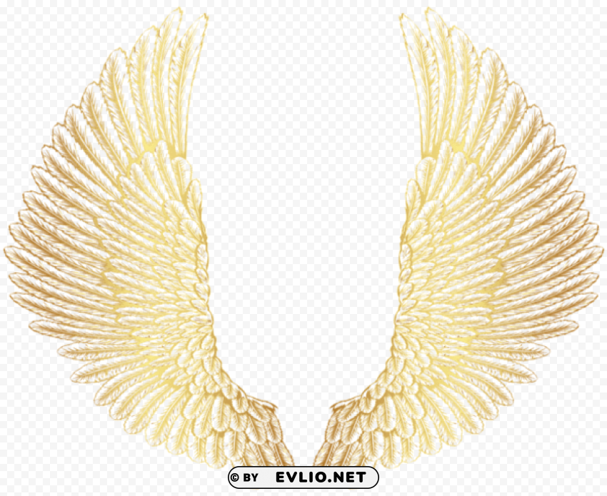 gold wings Clear image PNG clipart png photo - 220de1c9