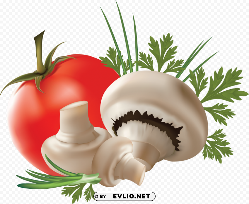 mushroom with tomato PNG files with no backdrop wide compilation