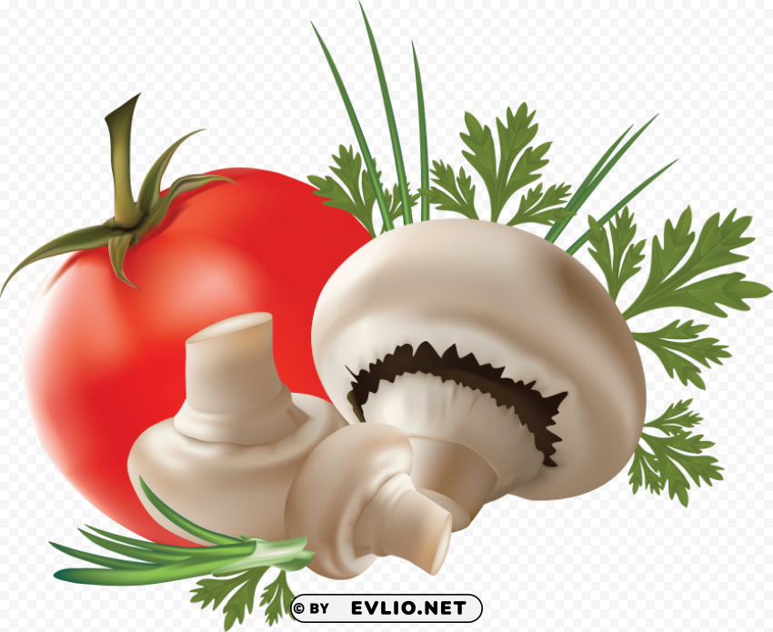 PNG image of mushroom with tomato PNG files with no backdrop wide compilation with a clear background - Image ID ee769457