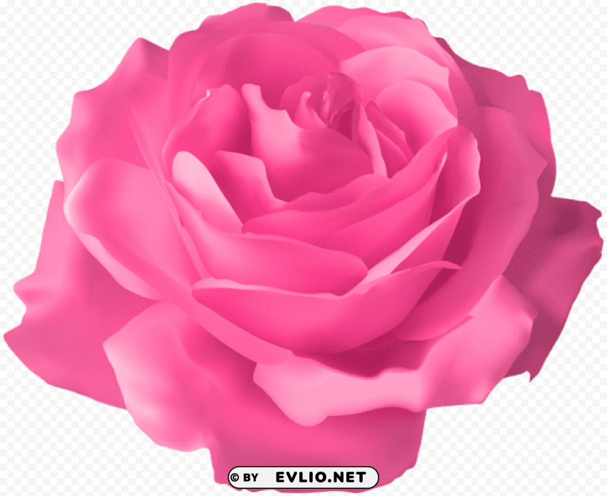 PNG image of pink rose transparent Clear background PNGs with a clear background - Image ID b9107833