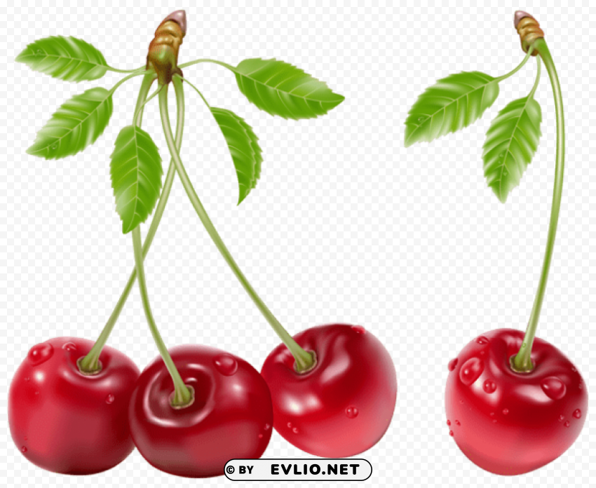 cherries PNG with transparent background for free