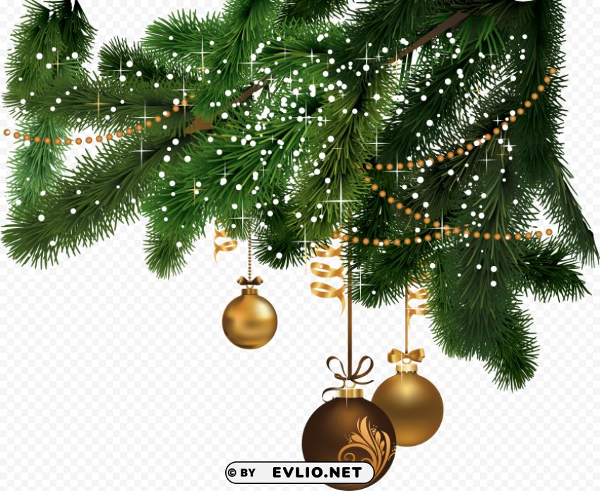 Christmas Fir PNG File Without Watermark