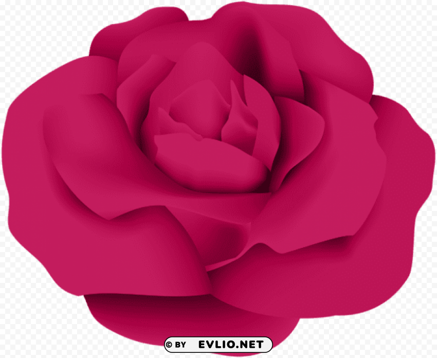 dark pink rose PNG no background free