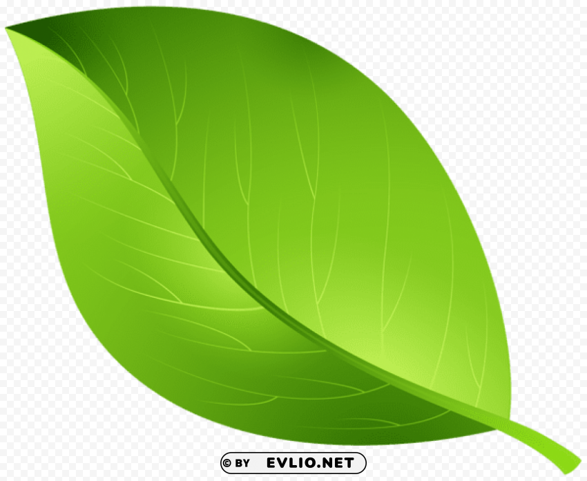 Green Leaf Transparent PNG Image Isolation