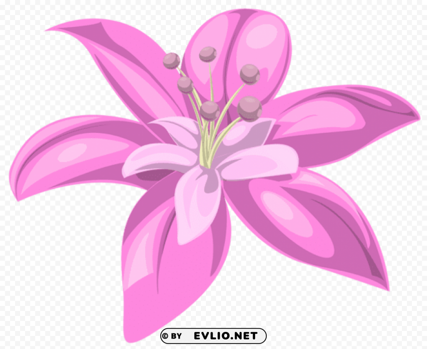 PNG image of pink flower PNG files with no background assortment with a clear background - Image ID 67bbc66f