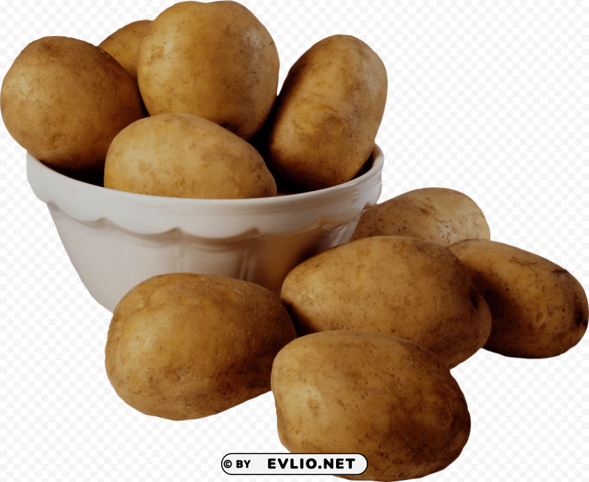 potato PNG with no cost
