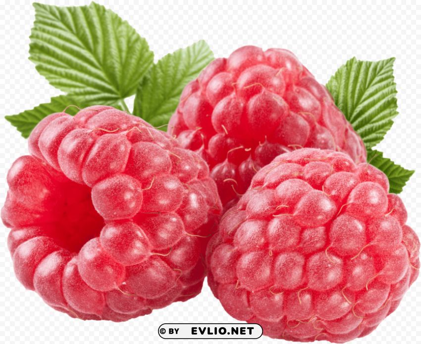 raspberry PNG graphics for presentations