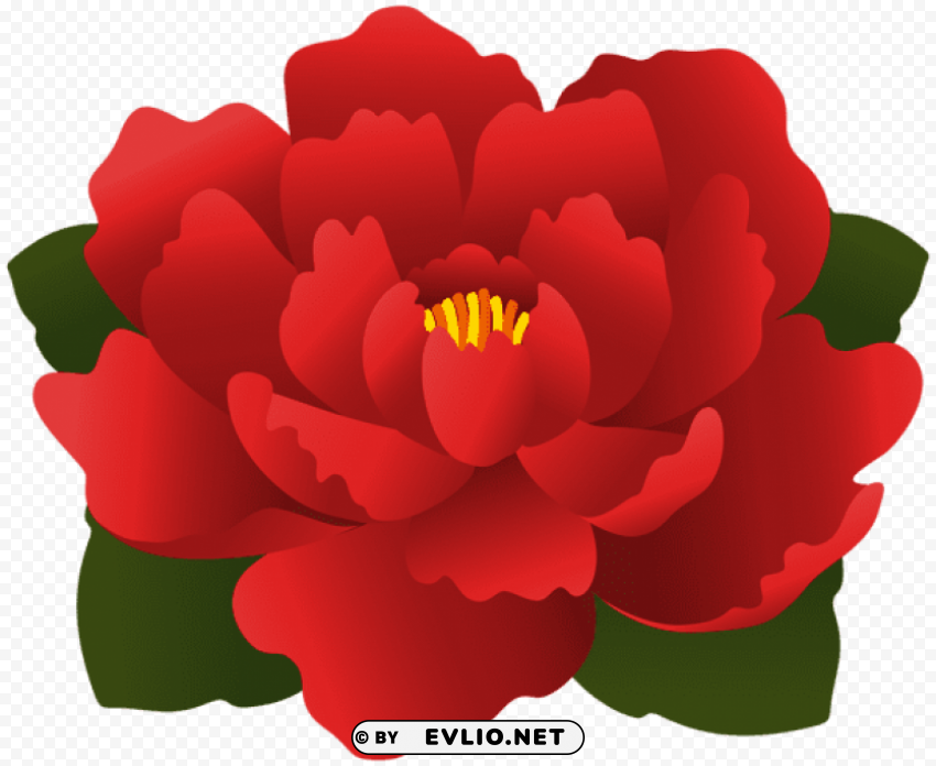 red flower PNG images with transparent space