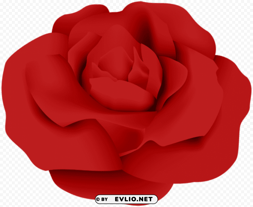 Red Rose PNG Isolated Illustration With Clarity