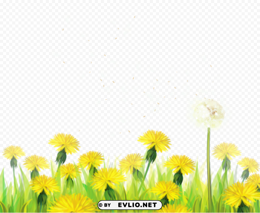 transparent grass with dandelions Isolated PNG Object with Clear Background