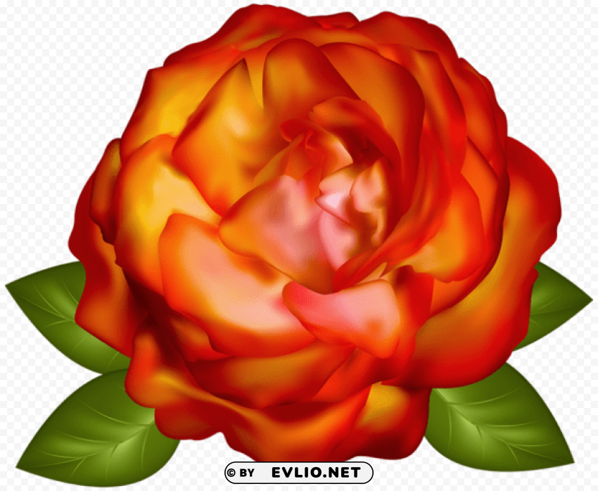 PNG image of beautiful rose PNG files with clear background bulk download with a clear background - Image ID 13089ef4