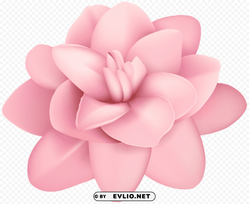 flower pink PNG pictures with no backdrop needed