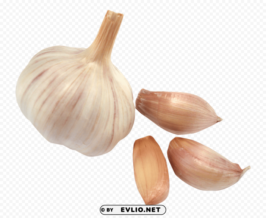 garlic Transparent PNG Isolated Design Element