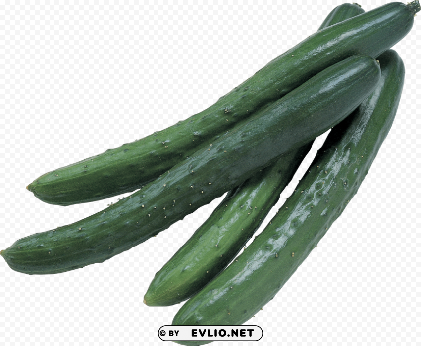 cucumber High-quality PNG images with transparency