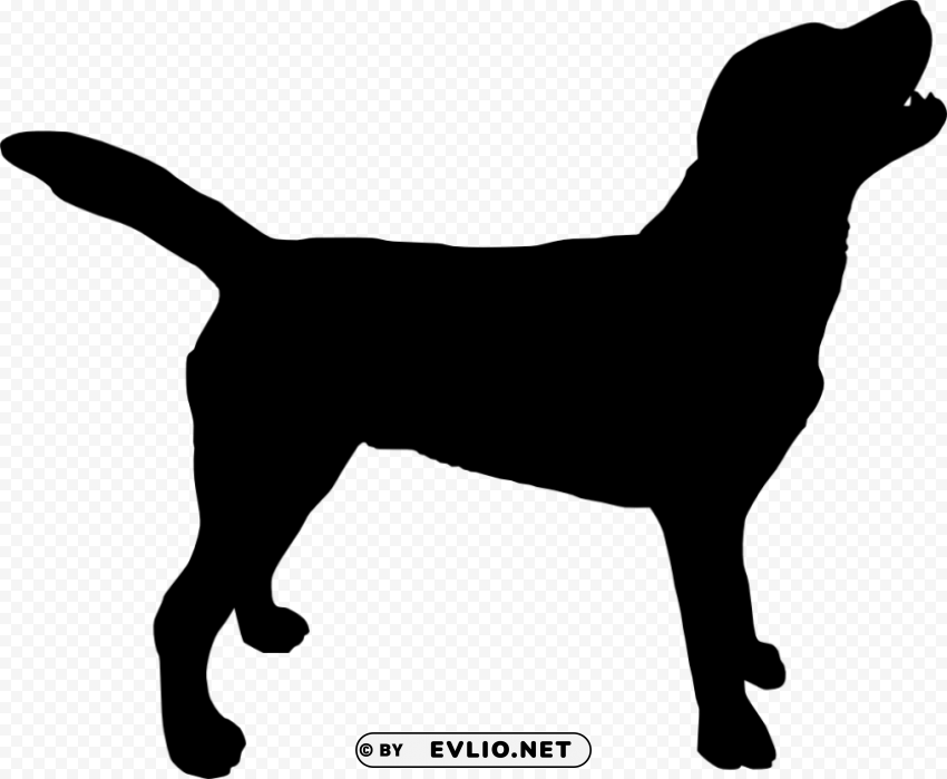 dog silhouette PNG for educational projects