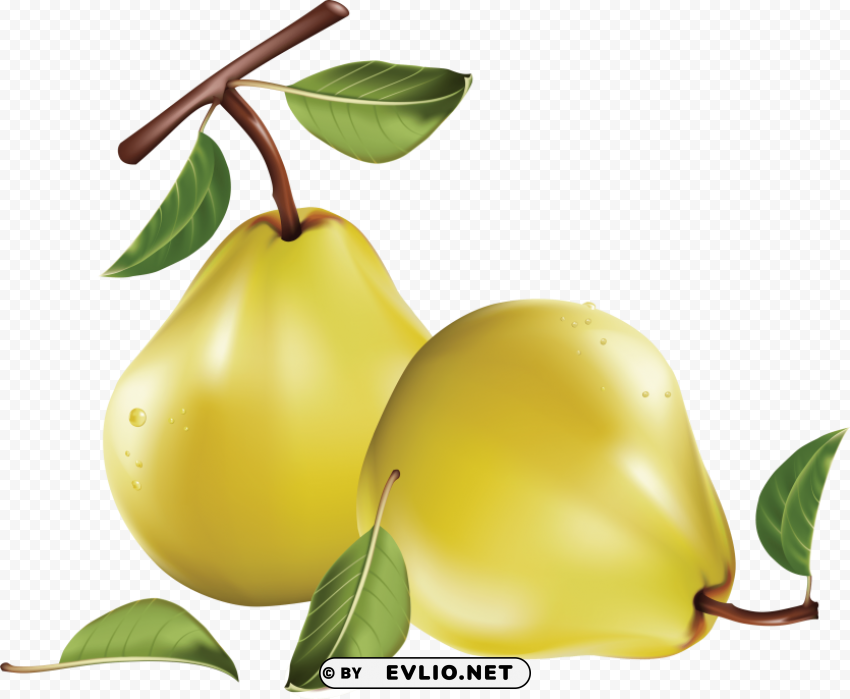 pear HighQuality Transparent PNG Isolated Graphic Design