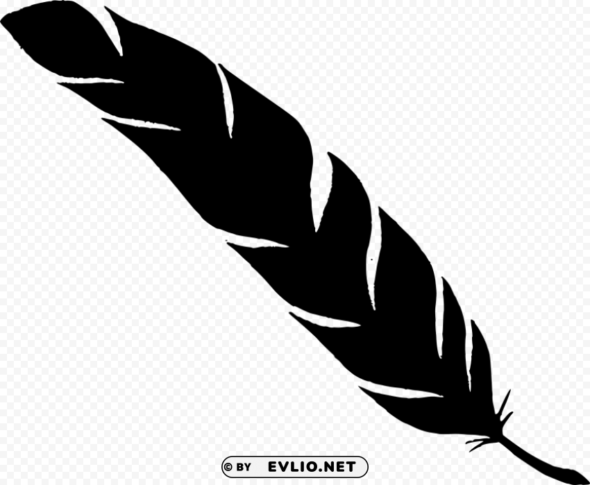simple feather silhouette HighResolution Transparent PNG Isolated Graphic