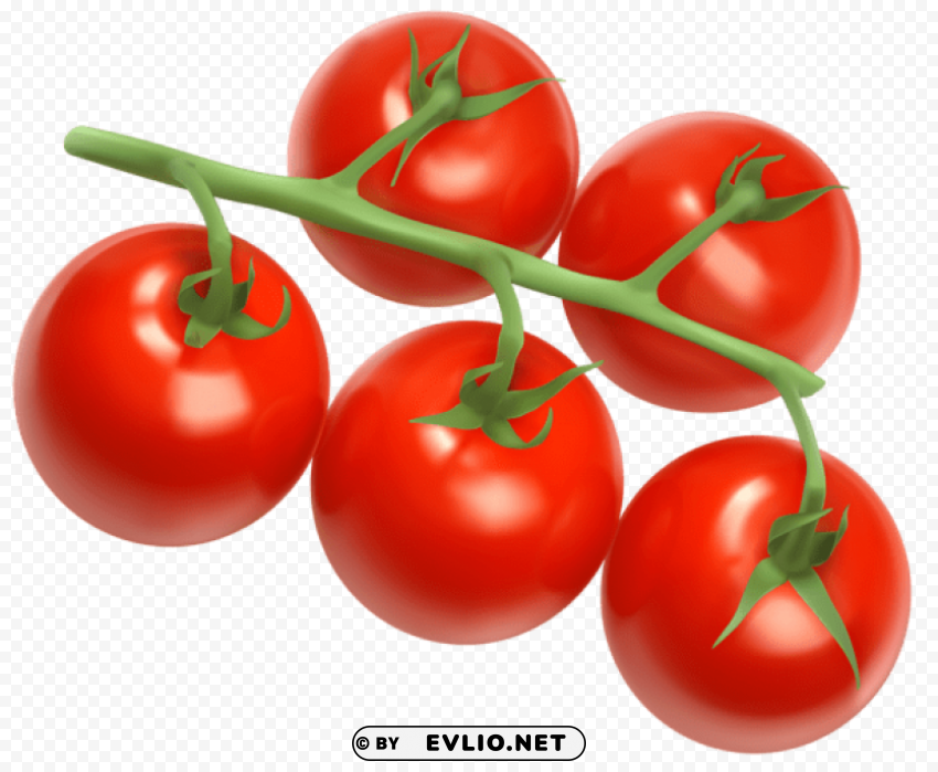 tomatoes vector PNG Isolated Object with Clear Transparency