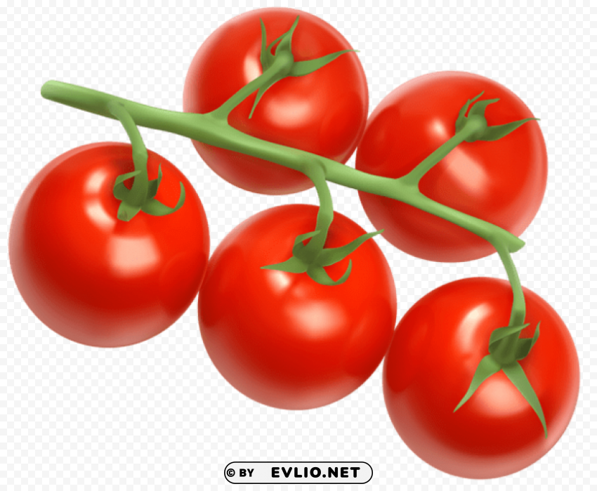 Tomatoes Vector PNG Isolated Object With Clear Transparency