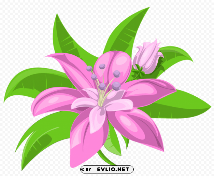 Two Pink Flowers PNG Image Isolated On Clear Backdrop