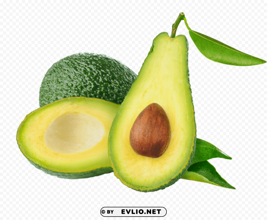 avocado PNG for educational projects