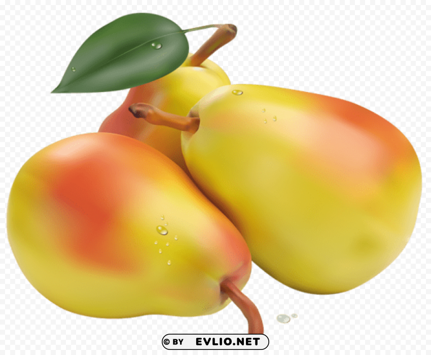 pearspicture Clear PNG graphics