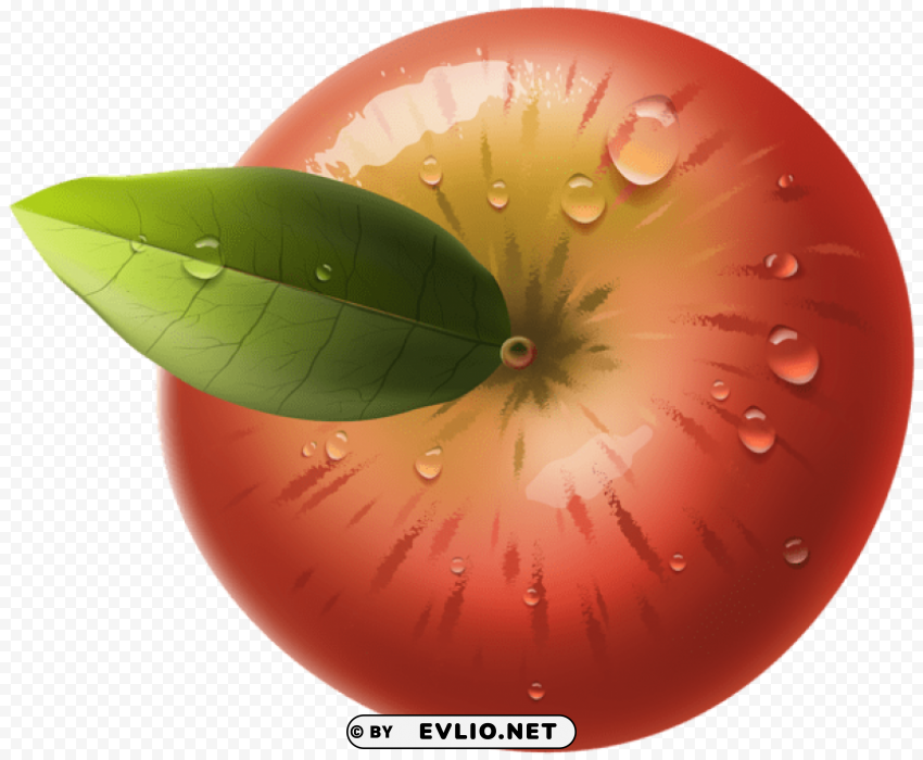 red apple Isolated Graphic with Transparent Background PNG