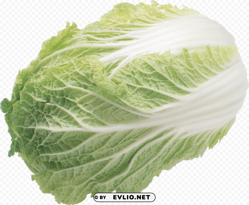 salad Transparent PNG Image Isolation