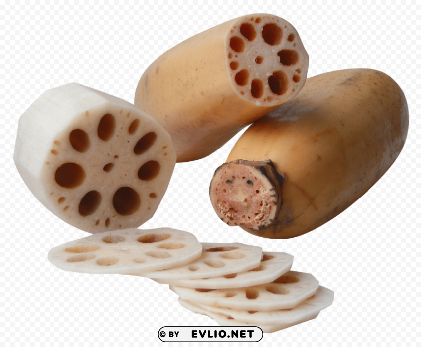 lotus root Free PNG images with alpha channel set