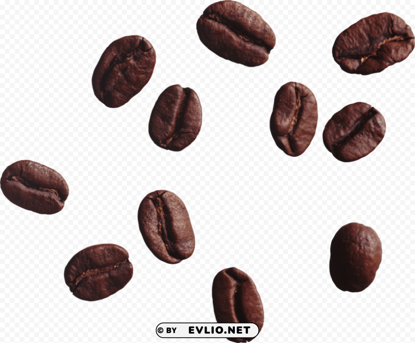 coffee beans Isolated Element with Clear Background PNG