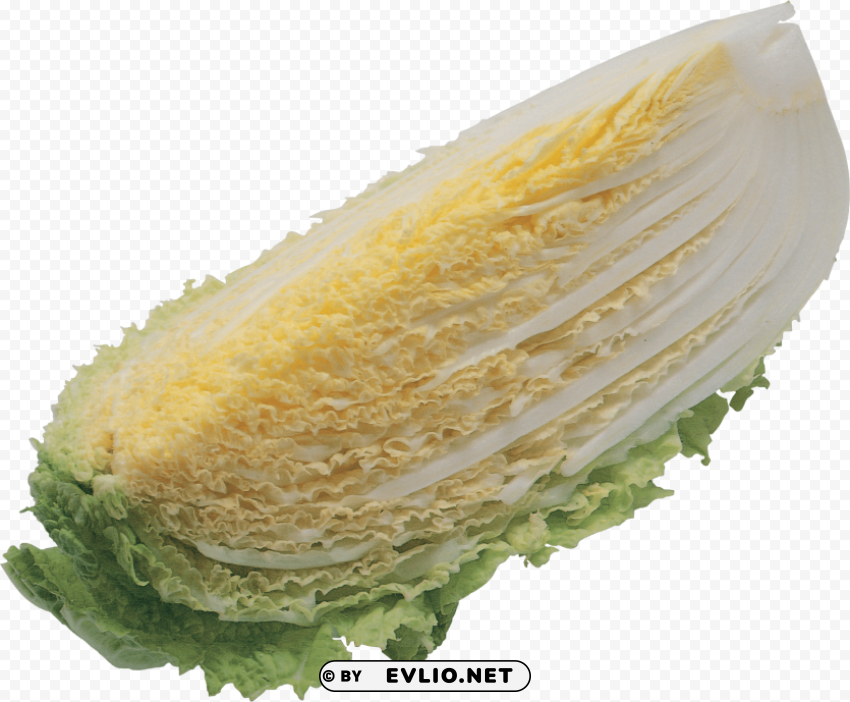 salad PNG with clear background set