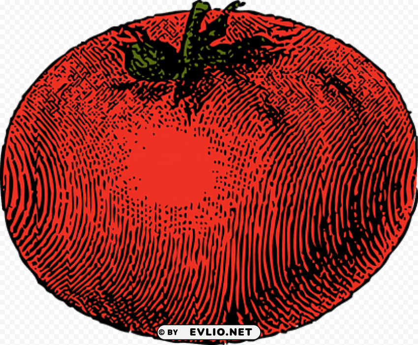 tomato Transparent PNG images wide assortment