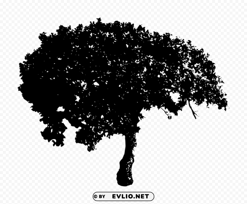 Black Tree PNG graphics with clear alpha channel