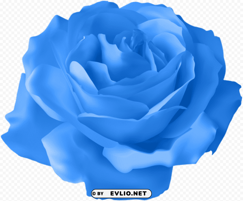 blue rose transparent Free download PNG images with alpha channel