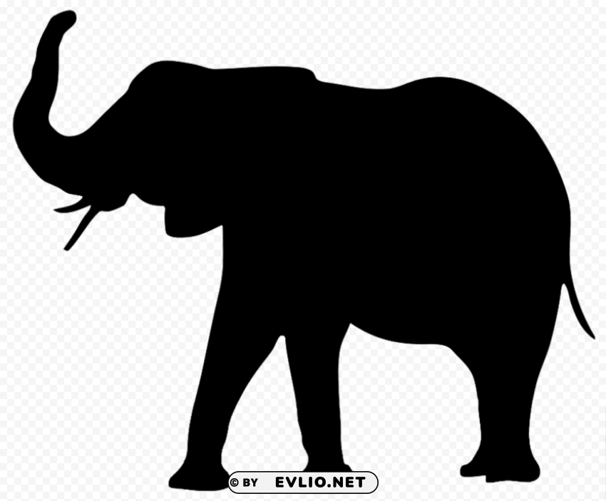 elephant PNG images without watermarks
