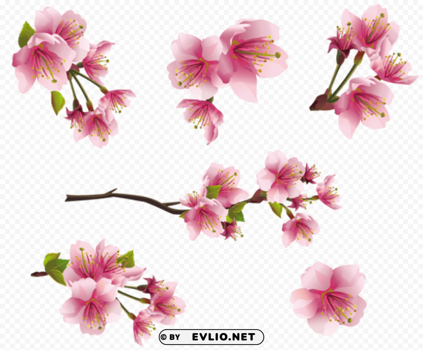 pink spring branch elementspicture PNG images for personal projects