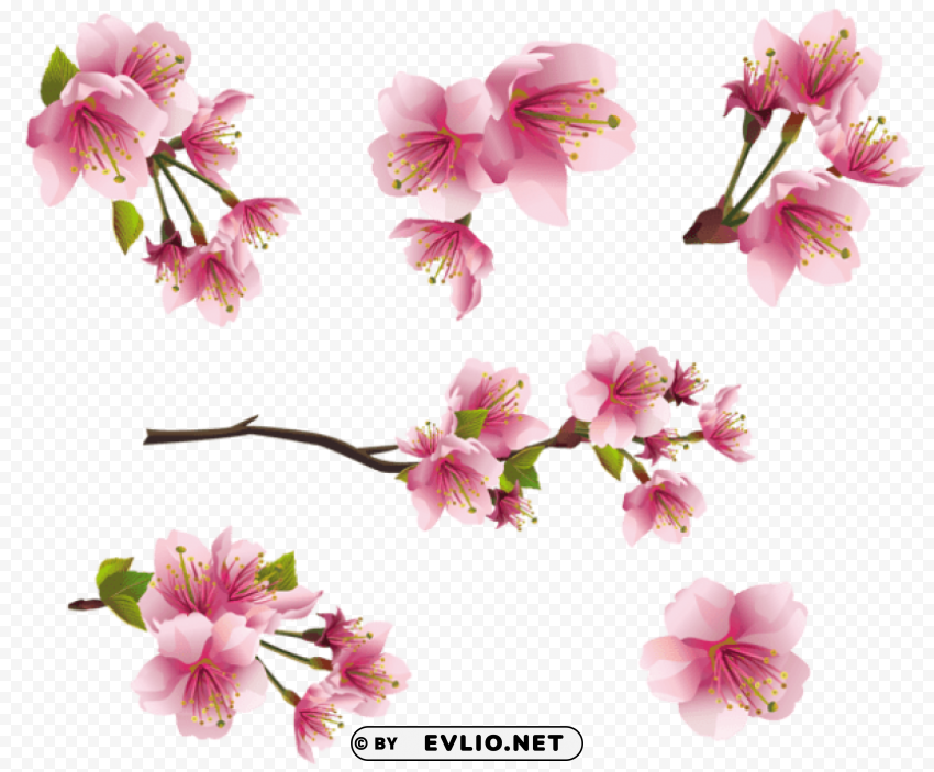 Pink Spring Branch Elementspicture PNG Images For Personal Projects